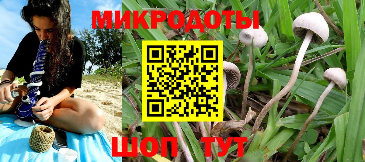 Галлюциногенные грибы Psilocybine cubensis Ялта